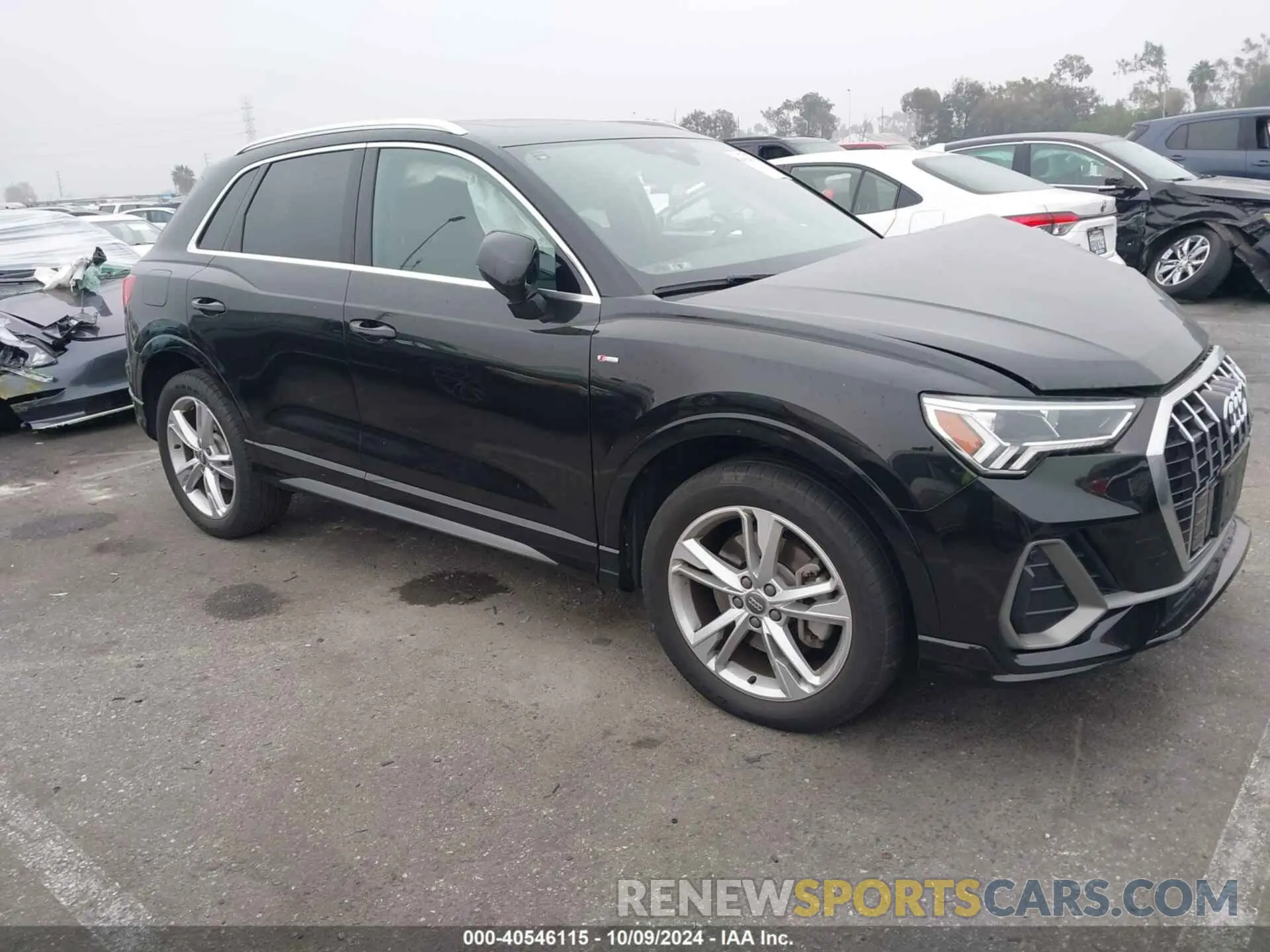 13 fotografías del automóvil dañado WA1EECF35K1069171 AUDI Q3 2019
