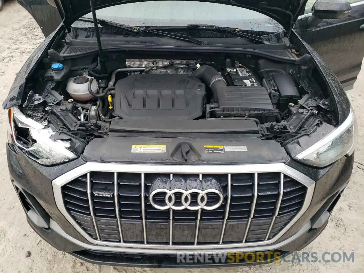 12 fotografías del automóvil dañado WA1DECF39M1011353 AUDI Q3 2021