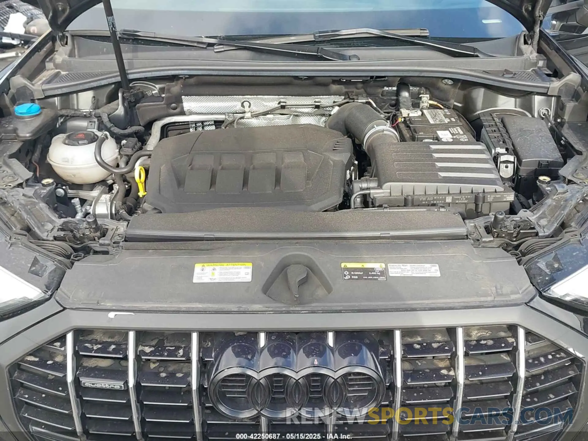 10 fotografías del automóvil dañado WA1DECF35N1095933 AUDI Q3 2022
