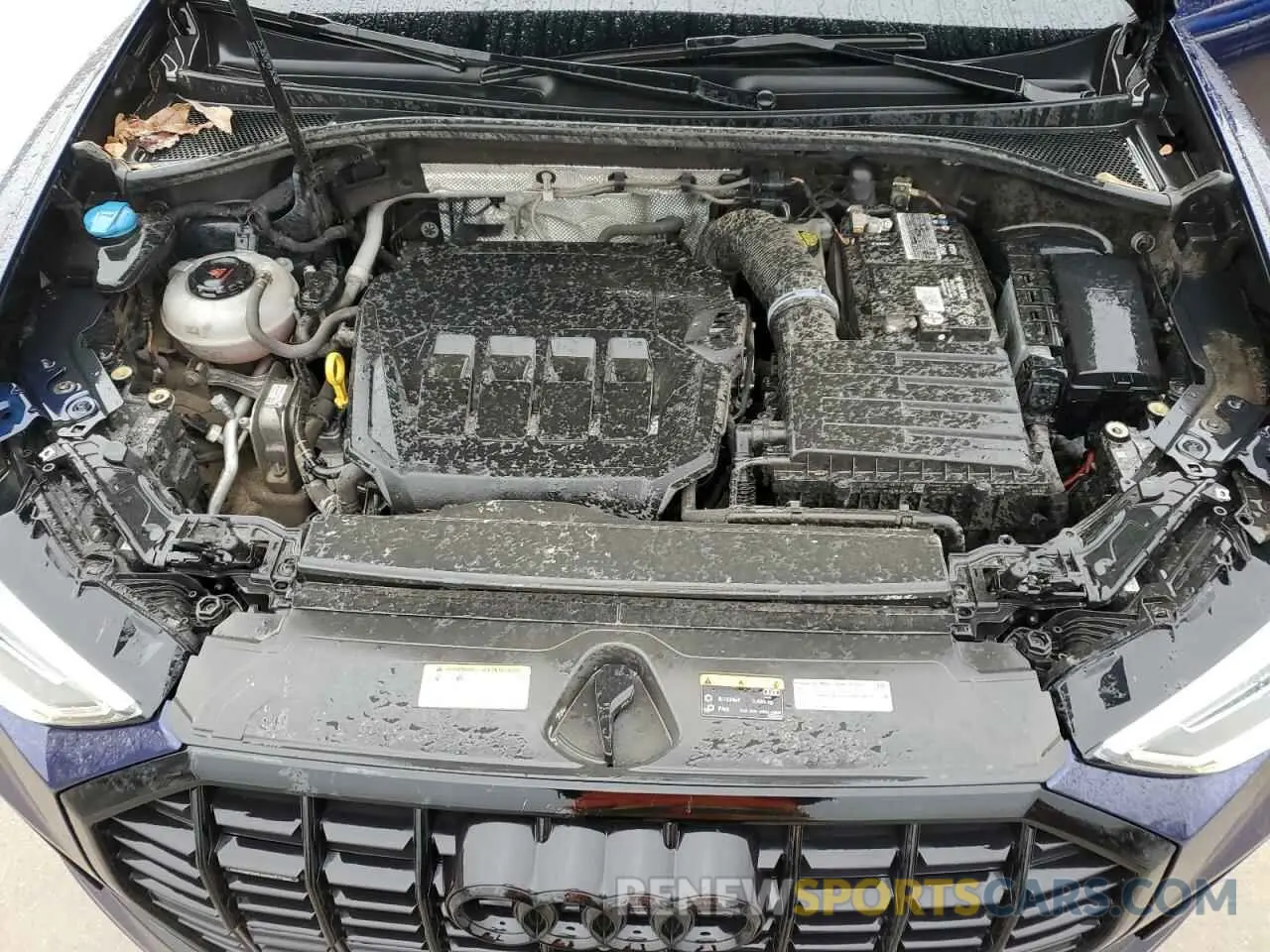 12 fotografías del automóvil dañado WA1EECF36N1062783 AUDI Q3 2022