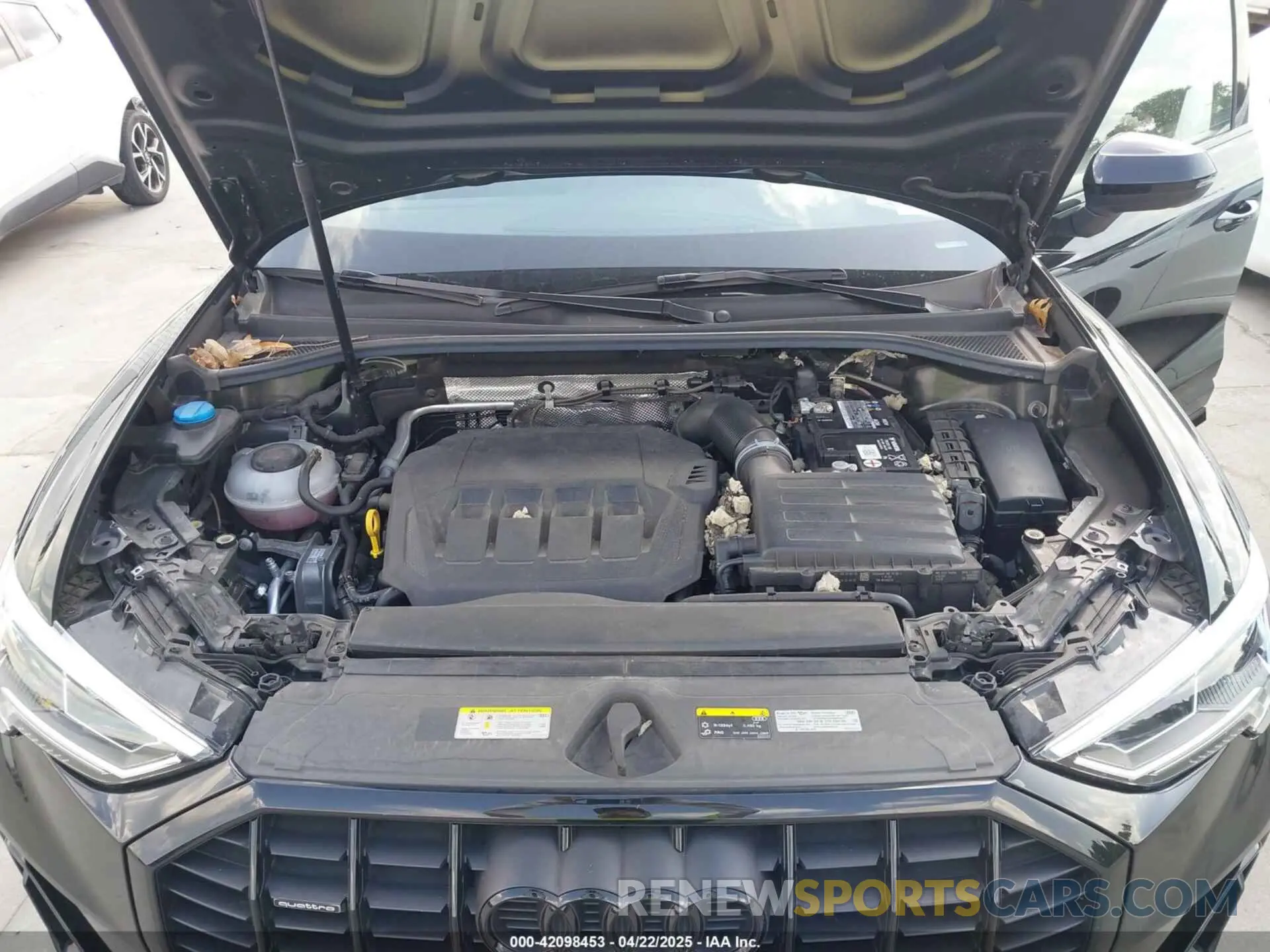 10 fotografías del automóvil dañado WA1EECF3XN1009942 AUDI Q3 2022