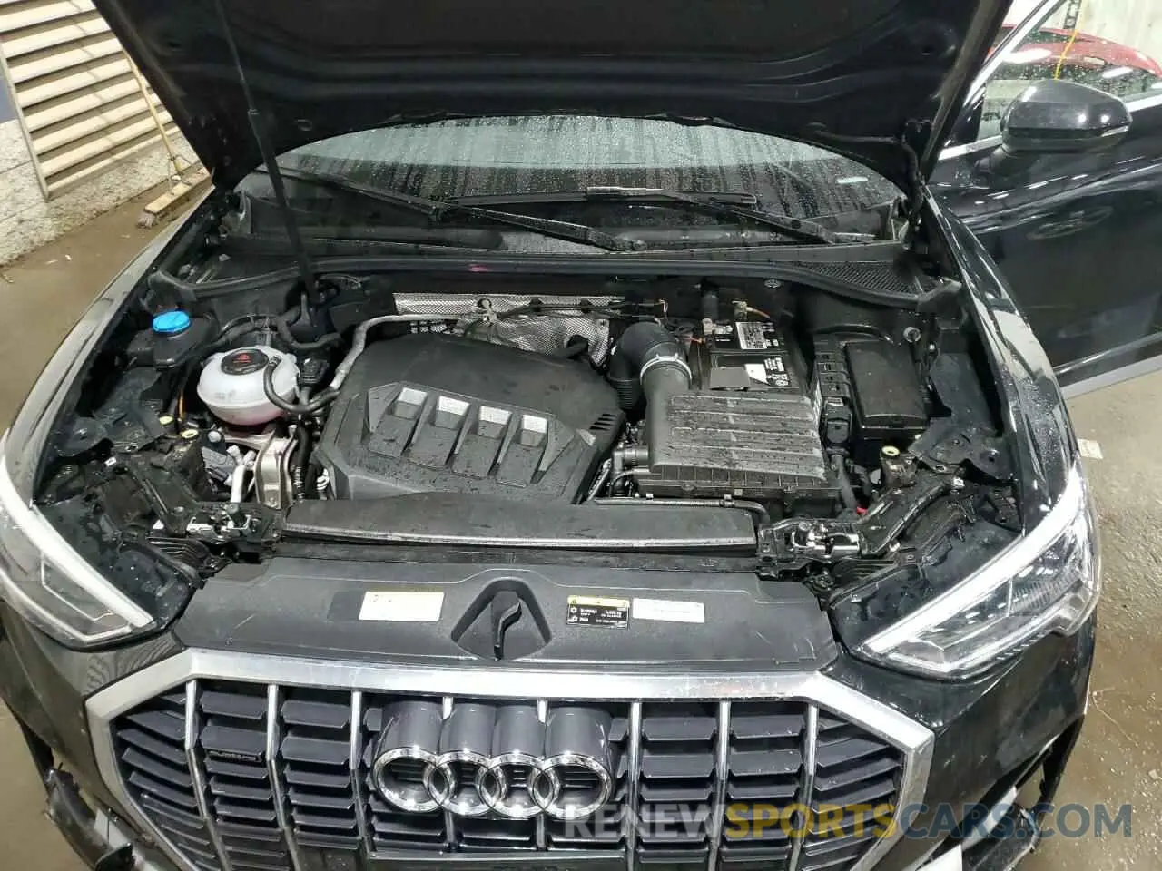 12 fotografías del automóvil dañado WA1EECF39P1075210 AUDI Q3 2023