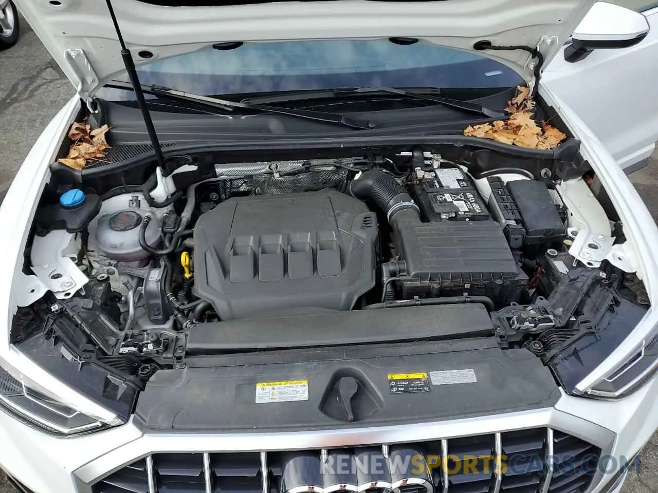 12 fotografías del automóvil dañado WA1DECF36R1027887 AUDI Q3 2024