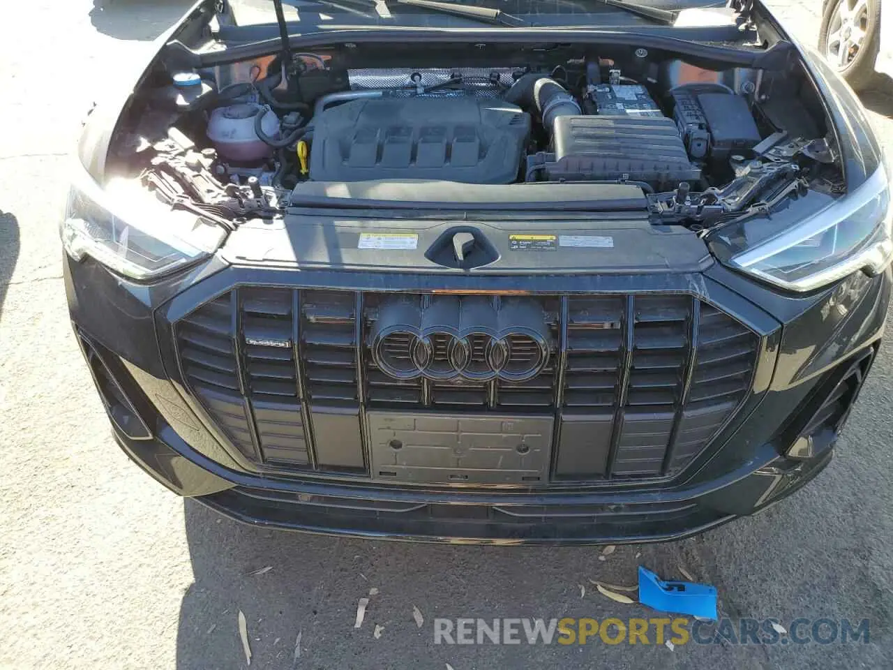 12 fotografías del automóvil dañado WA1EECF39R1027967 AUDI Q3 2024