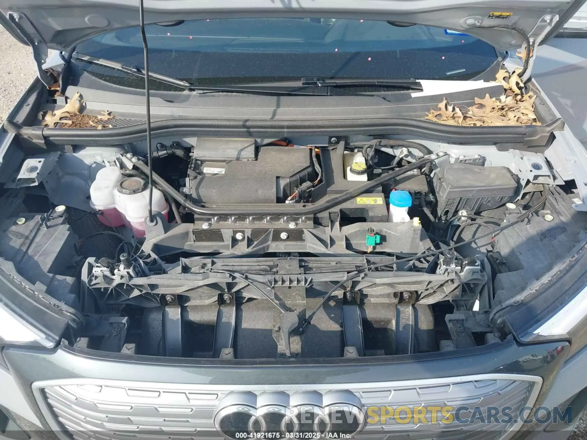 10 fotografías del automóvil dañado WA1BCBFZ3PP019686 AUDI Q4 E-TRON 2023
