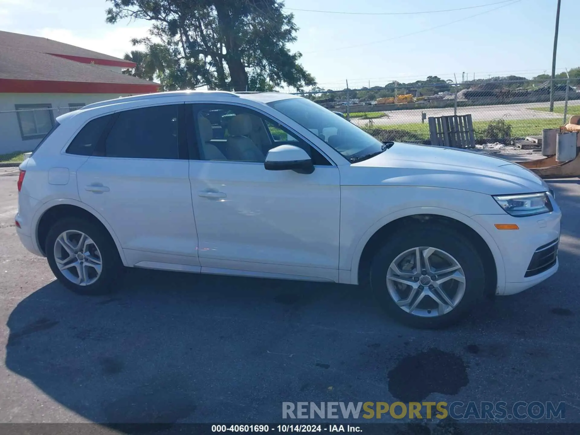 13 fotografías del automóvil dañado WA1ANAFY0K2064484 AUDI Q5 2019
