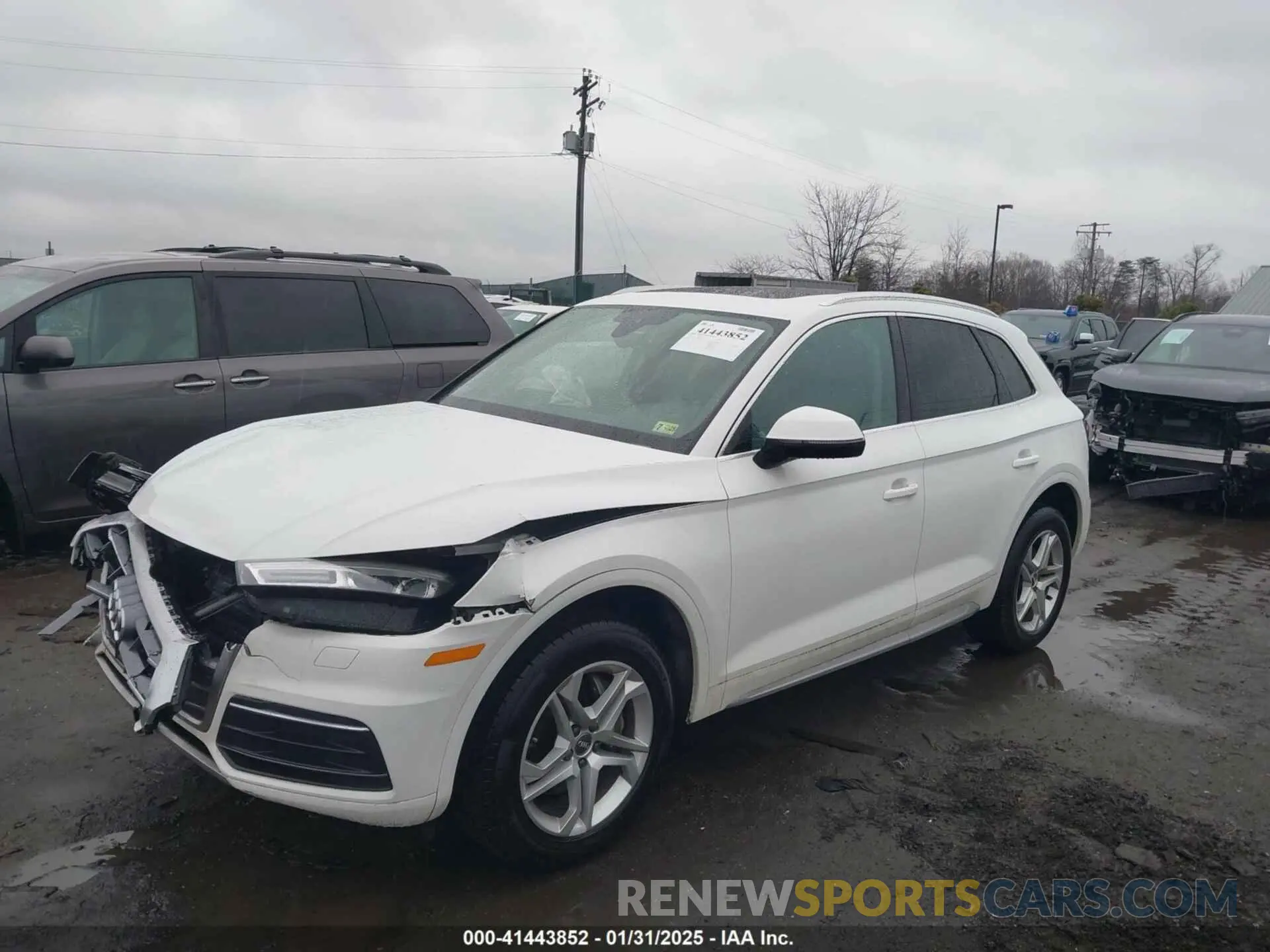 2 fotografías del automóvil dañado WA1ANAFY0K2093743 AUDI Q5 2019
