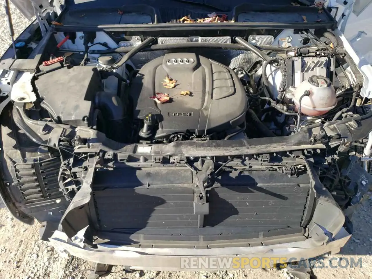 12 fotografías del automóvil dañado WA1ANAFY5K2136439 AUDI Q5 2019