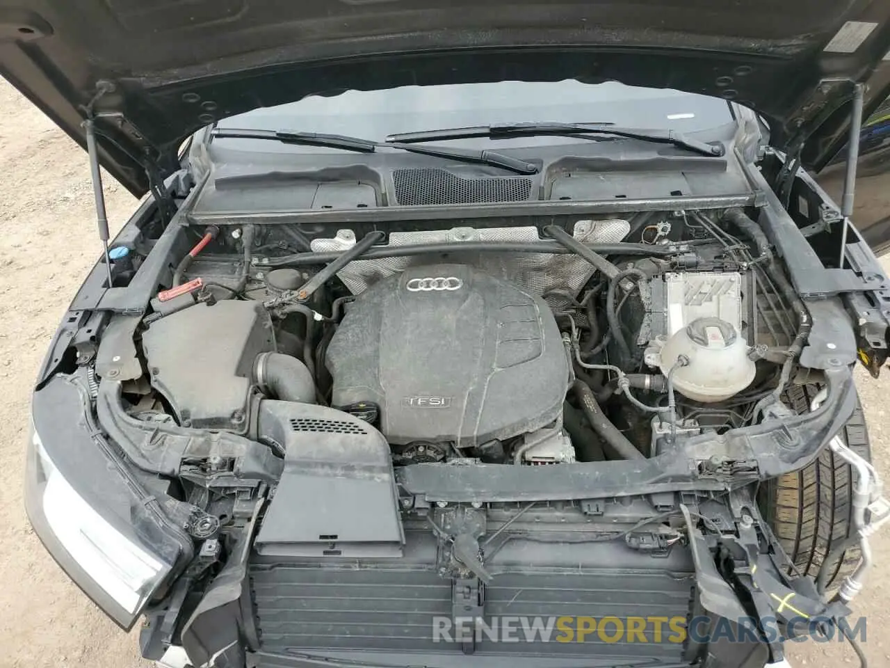 12 fotografías del automóvil dañado WA1ANAFY6K2123599 AUDI Q5 2019