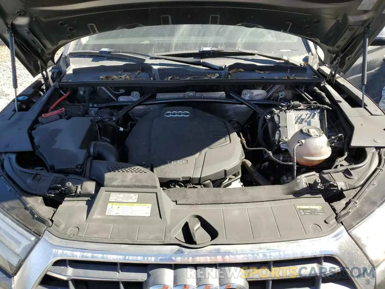 12 fotografías del automóvil dañado WA1ANAFY8K2034066 AUDI Q5 2019
