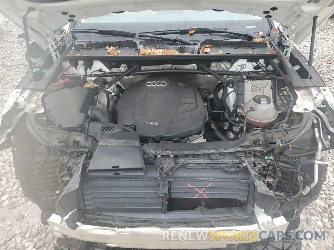 12 fotografías del automóvil dañado WA1BNAFY1K2044099 AUDI Q5 2019