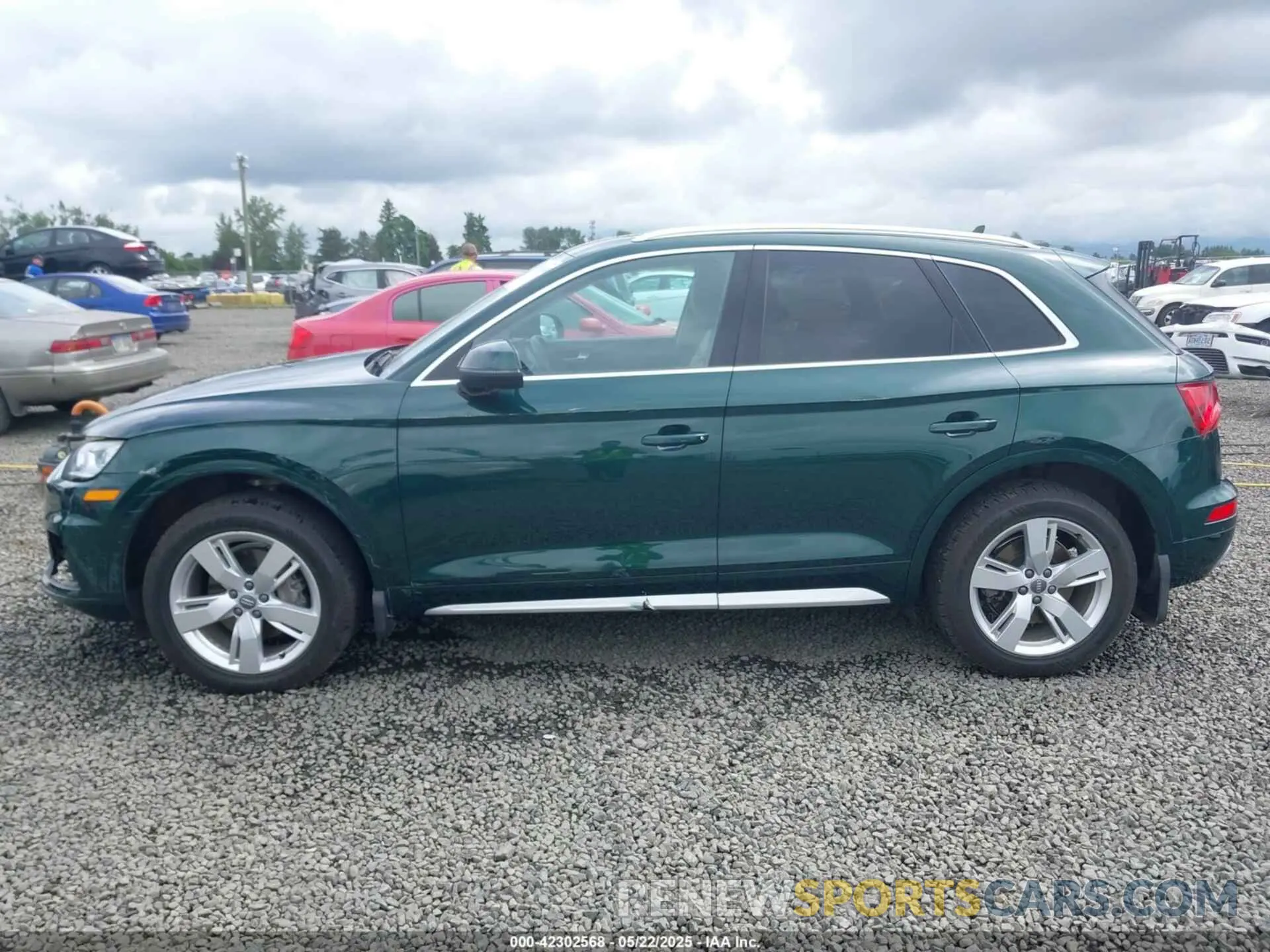 14 fotografías del automóvil dañado WA1BNAFY1K2126527 AUDI Q5 2019