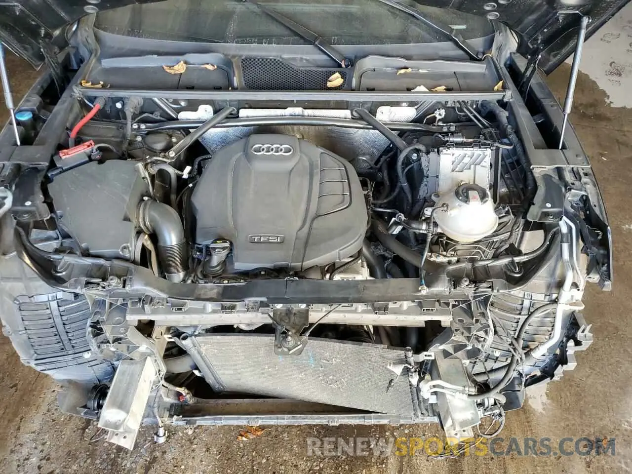 12 fotografías del automóvil dañado WA1BNAFY3K2042287 AUDI Q5 2019