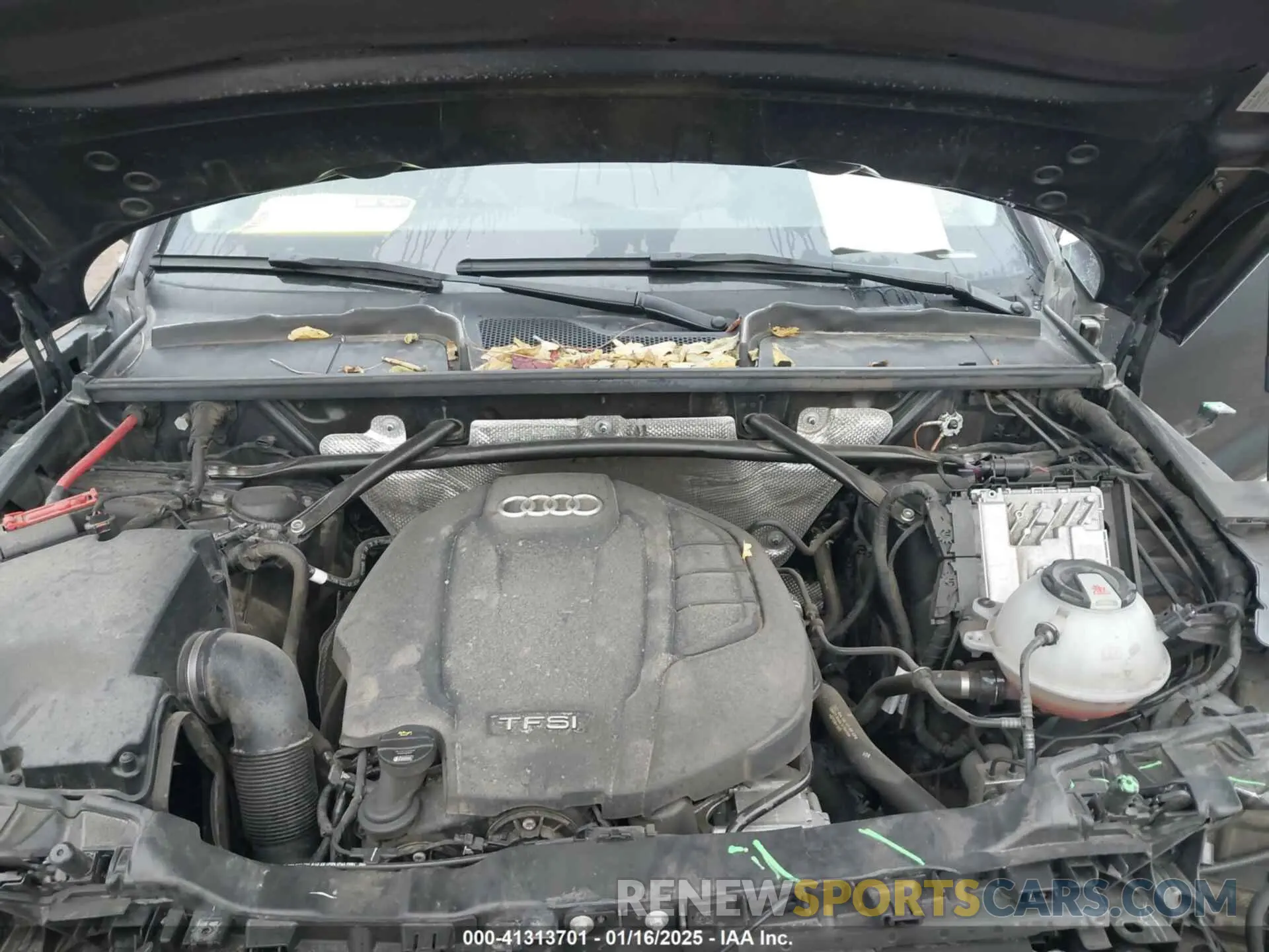 10 fotografías del automóvil dañado WA1BNAFY3K2051278 AUDI Q5 2019