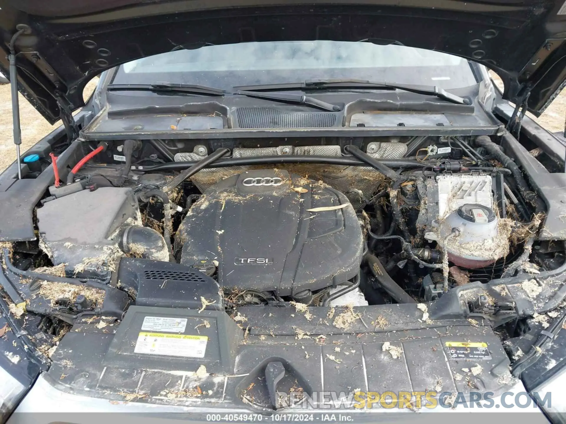 10 fotografías del automóvil dañado WA1CNAFY2K2072045 AUDI Q5 2019