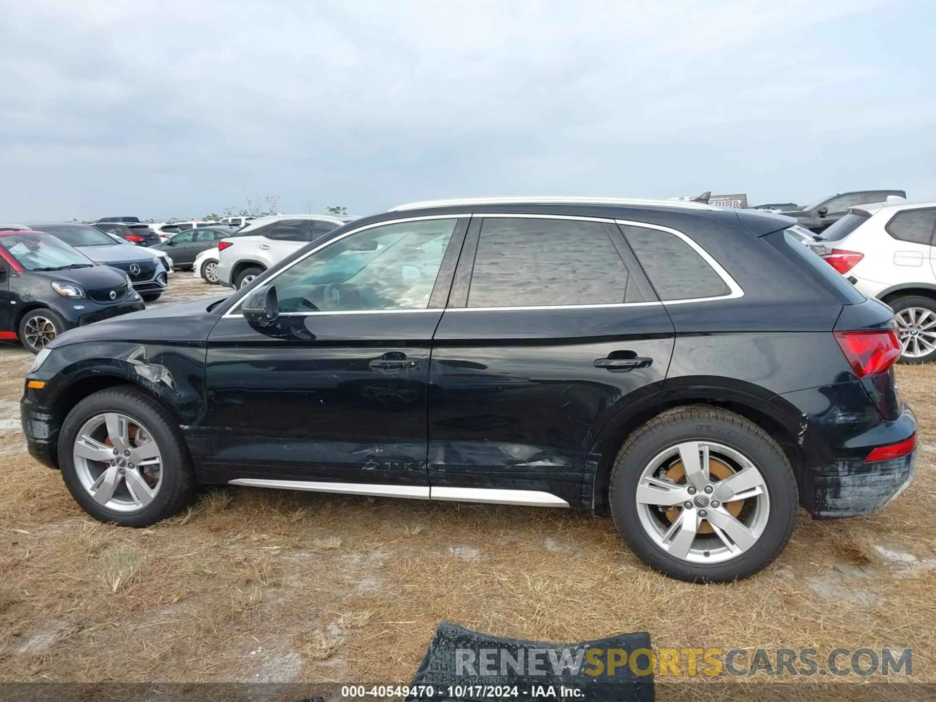 13 fotografías del automóvil dañado WA1CNAFY2K2072045 AUDI Q5 2019