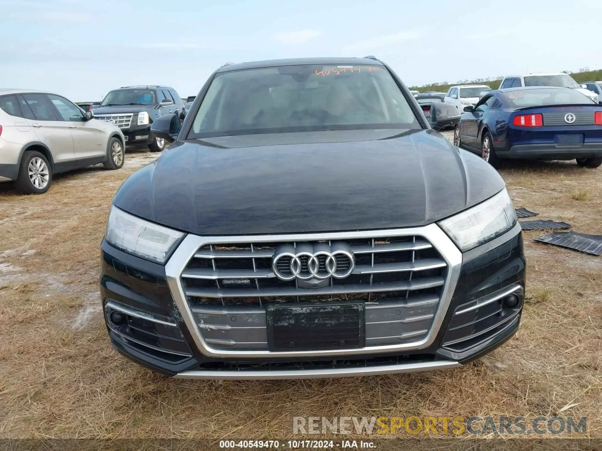 6 fotografías del automóvil dañado WA1CNAFY2K2072045 AUDI Q5 2019