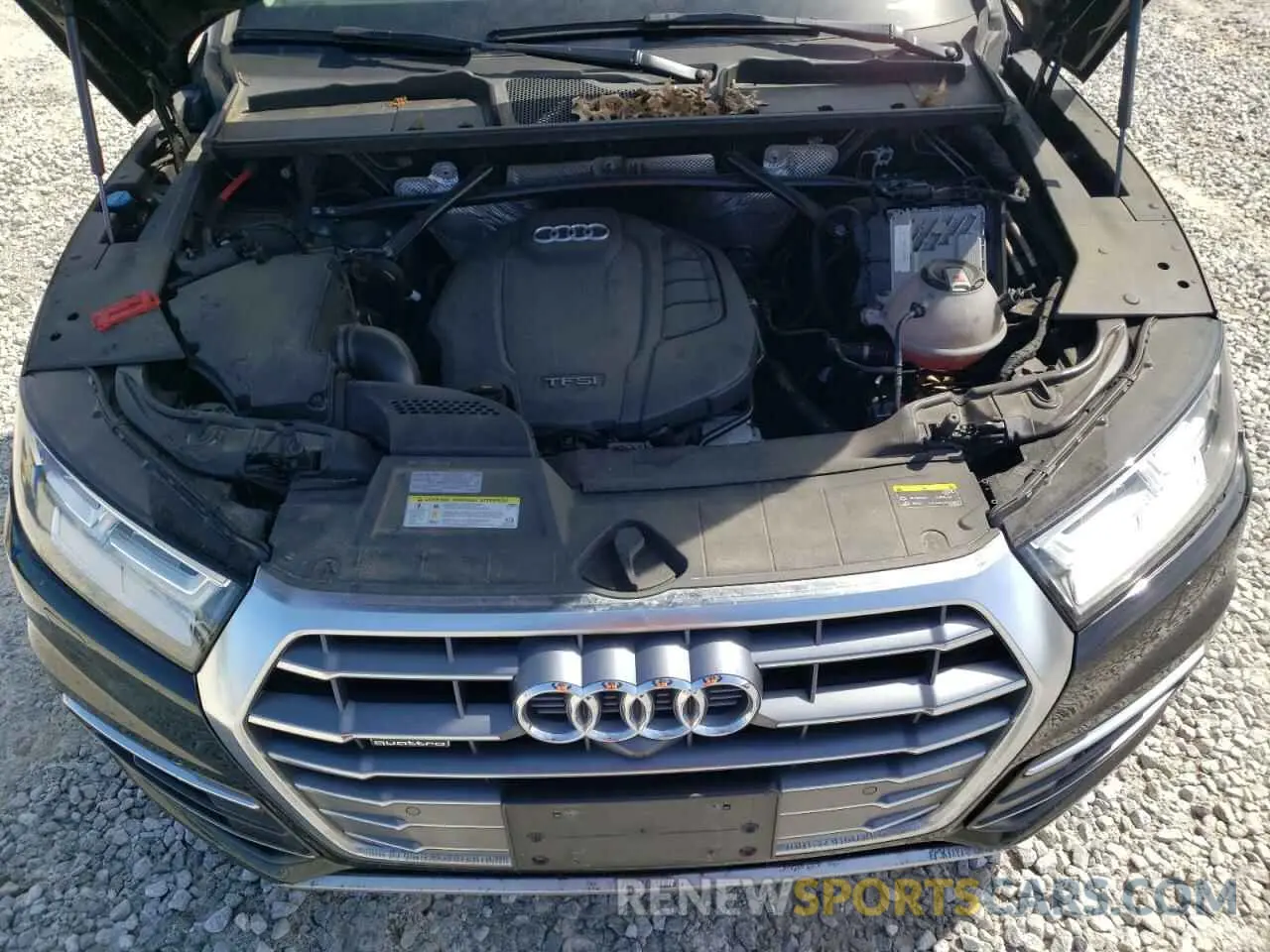 11 fotografías del automóvil dañado WA1CNAFY2K2106968 AUDI Q5 2019