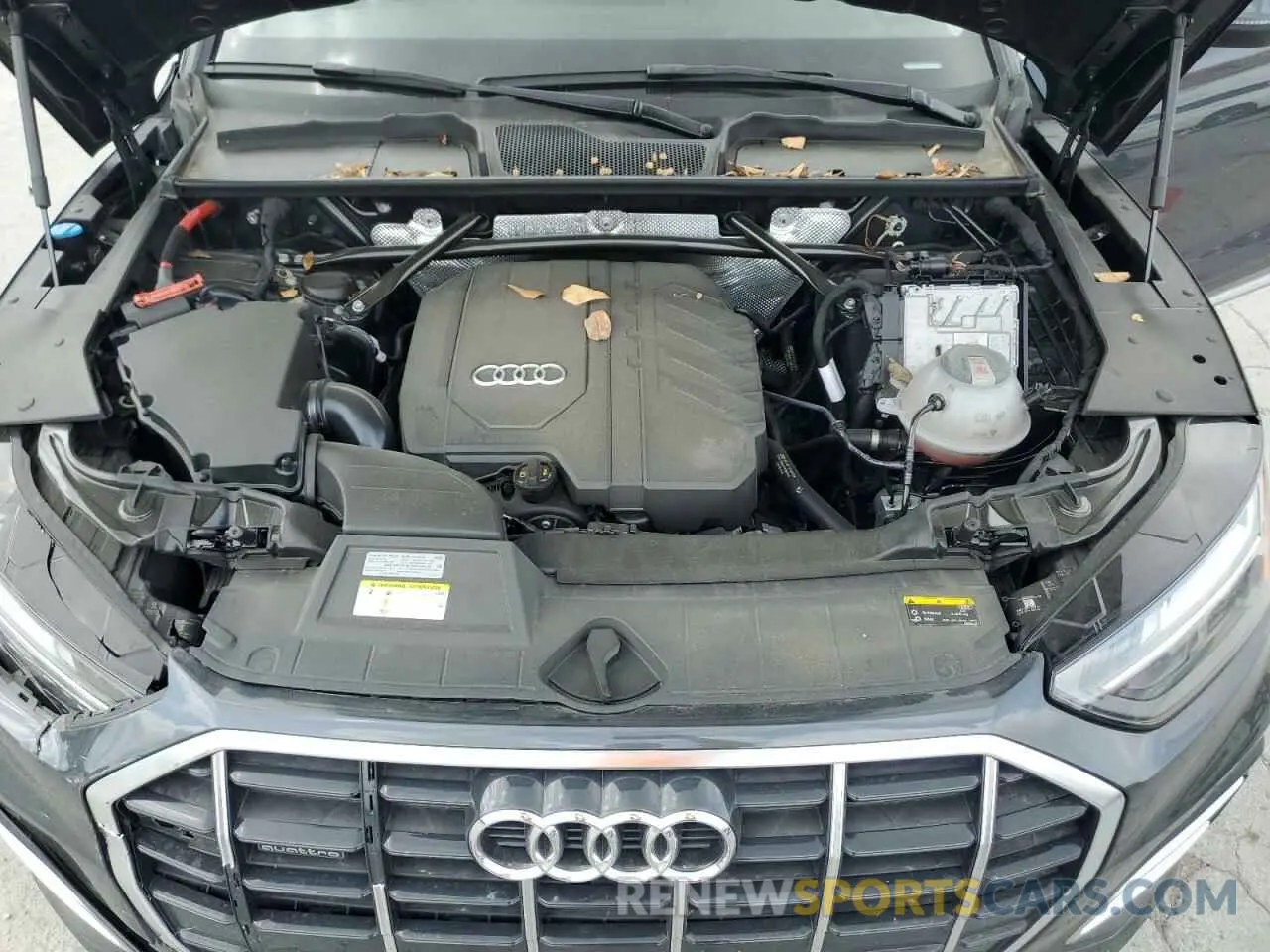12 fotografías del automóvil dañado WA1AAAFY3M2113577 AUDI Q5 2021