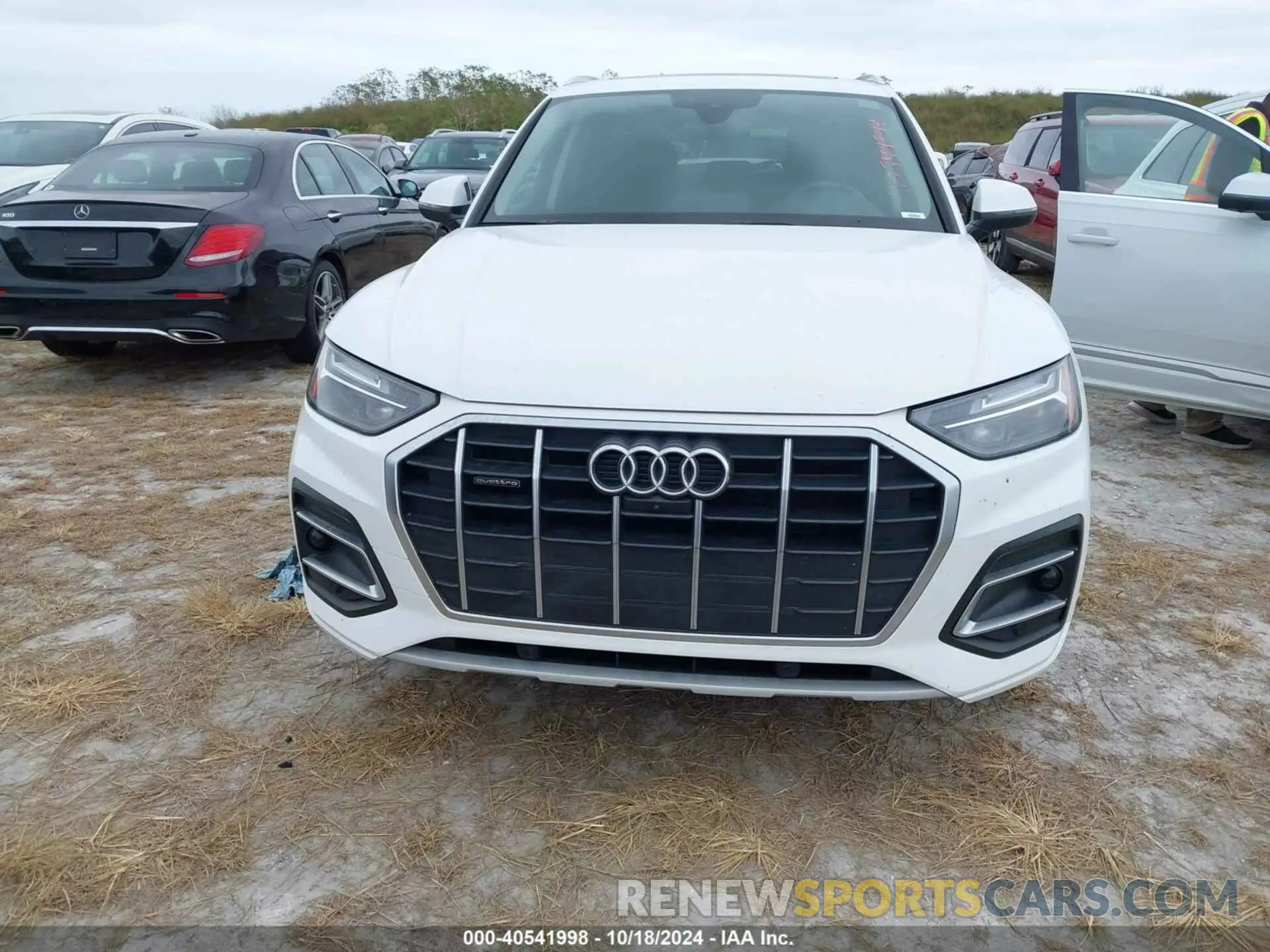 12 fotografías del automóvil dañado WA1BAAFY0M2067937 AUDI Q5 2021
