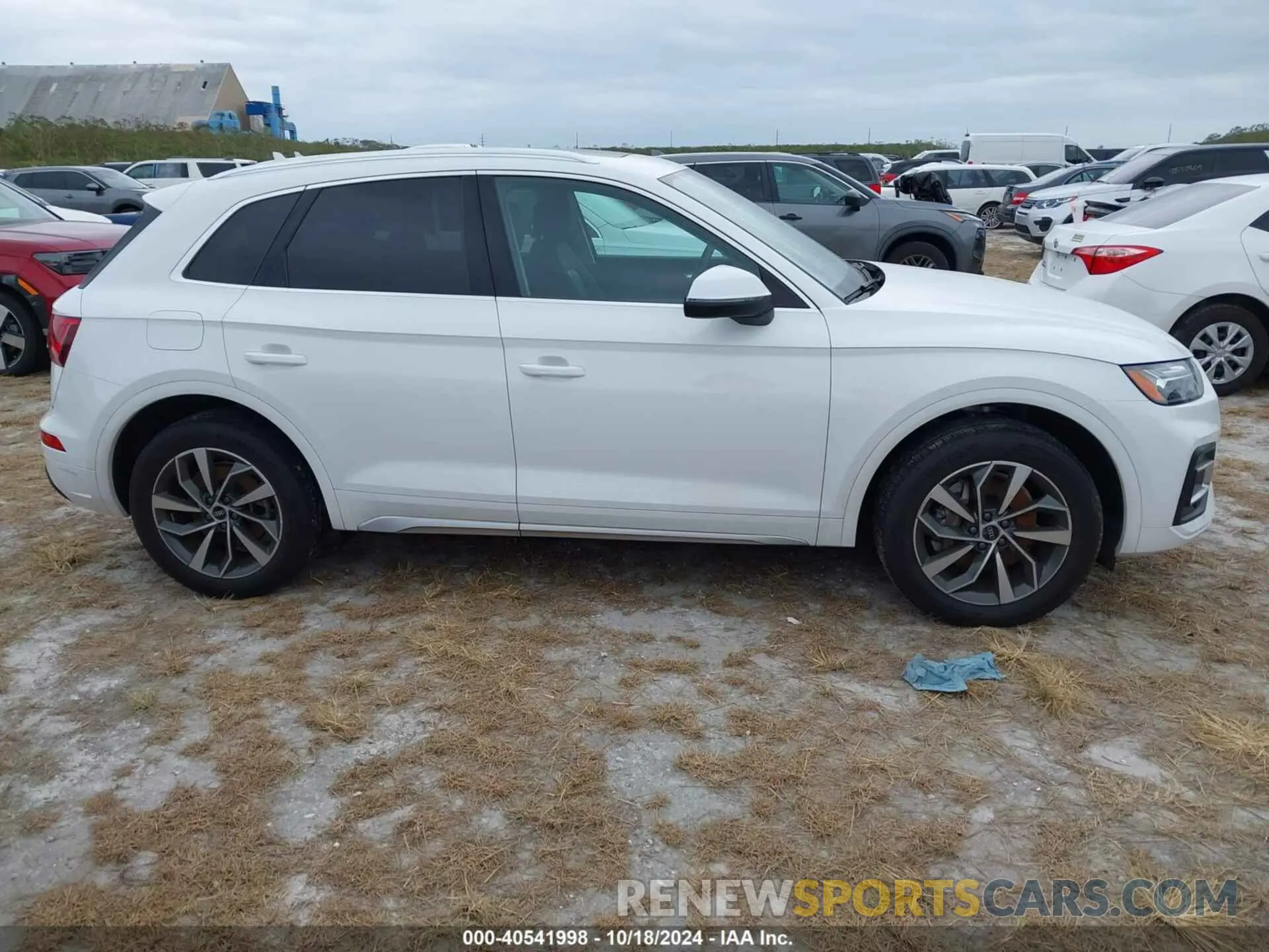 13 fotografías del automóvil dañado WA1BAAFY0M2067937 AUDI Q5 2021
