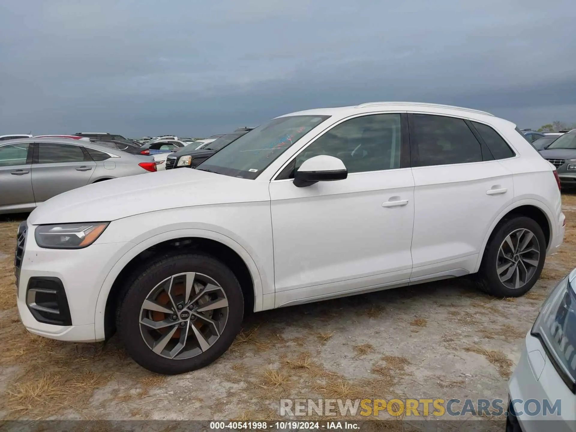 14 fotografías del automóvil dañado WA1BAAFY0M2067937 AUDI Q5 2021