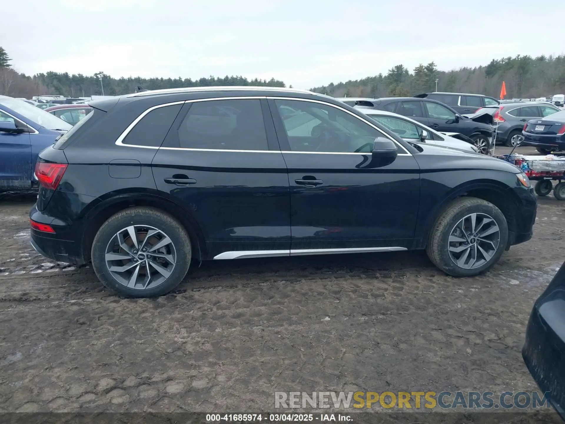 13 fotografías del automóvil dañado WA1BAAFY1M2113680 AUDI Q5 2021