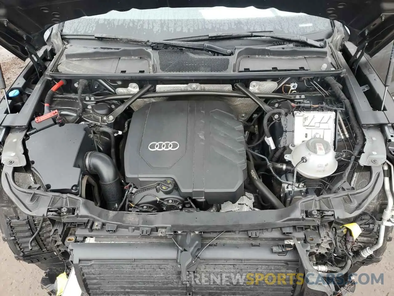 12 fotografías del automóvil dañado WA1EAAFY2N2028782 AUDI Q5 2022