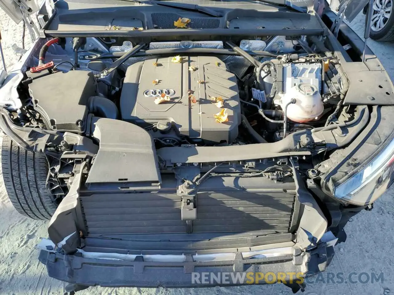 12 fotografías del automóvil dañado WA1GAAFY1N2081286 AUDI Q5 2022