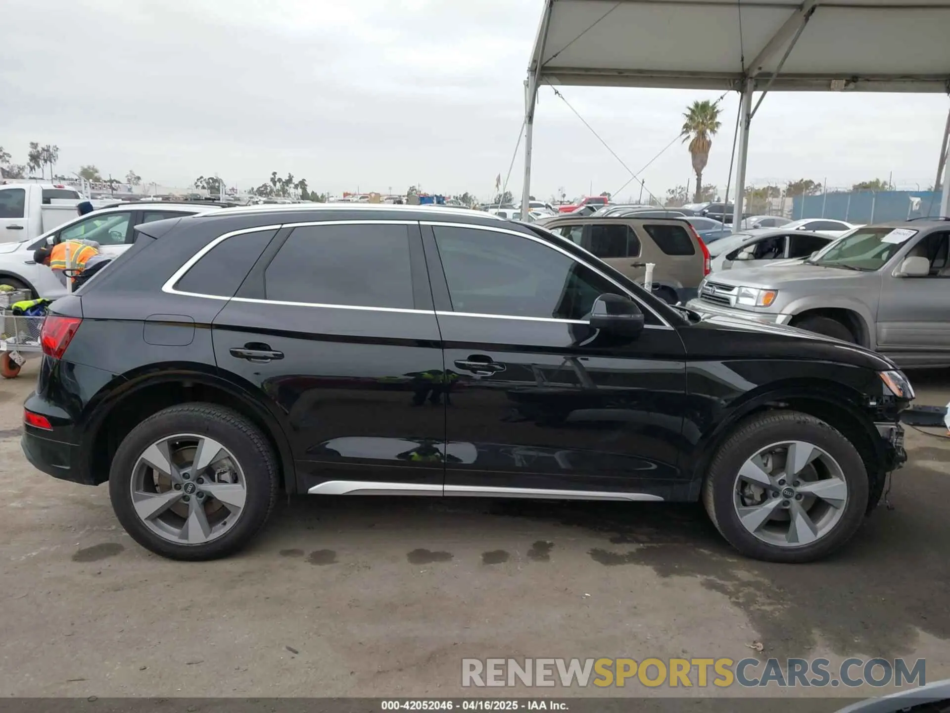 14 fotografías del automóvil dañado WA1BBAFY7P2187588 AUDI Q5 2023