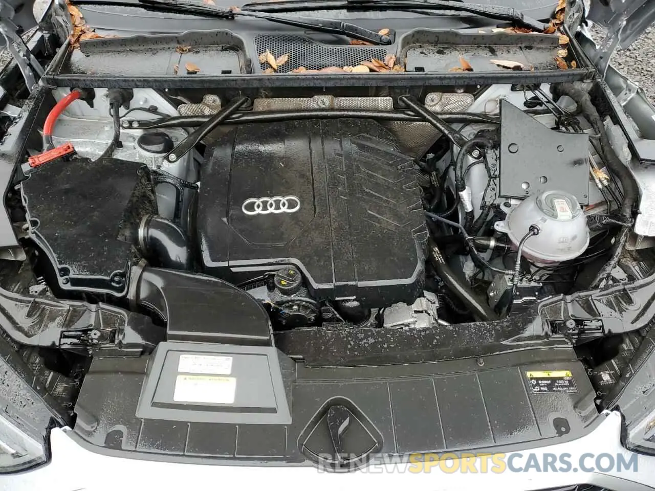 11 fotografías del automóvil dañado WA1EAAFY3P2118848 AUDI Q5 2023