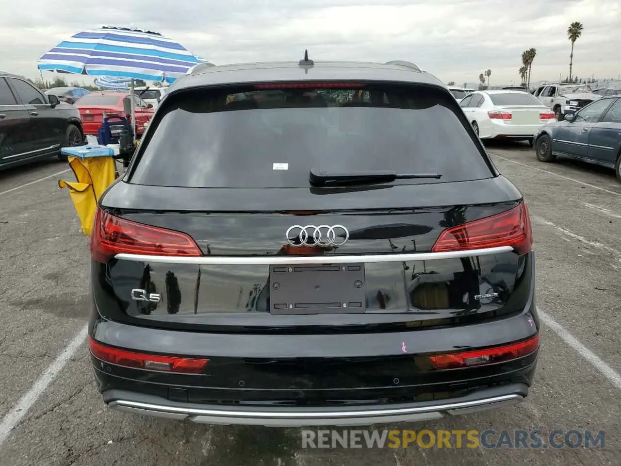 6 fotografías del automóvil dañado WA1ABAFY6R2137571 AUDI Q5 2024