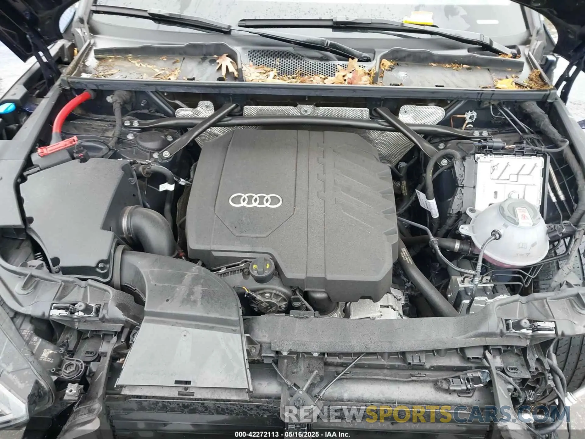 10 fotografías del automóvil dañado WA1EAAFY1R2053260 AUDI Q5 2024