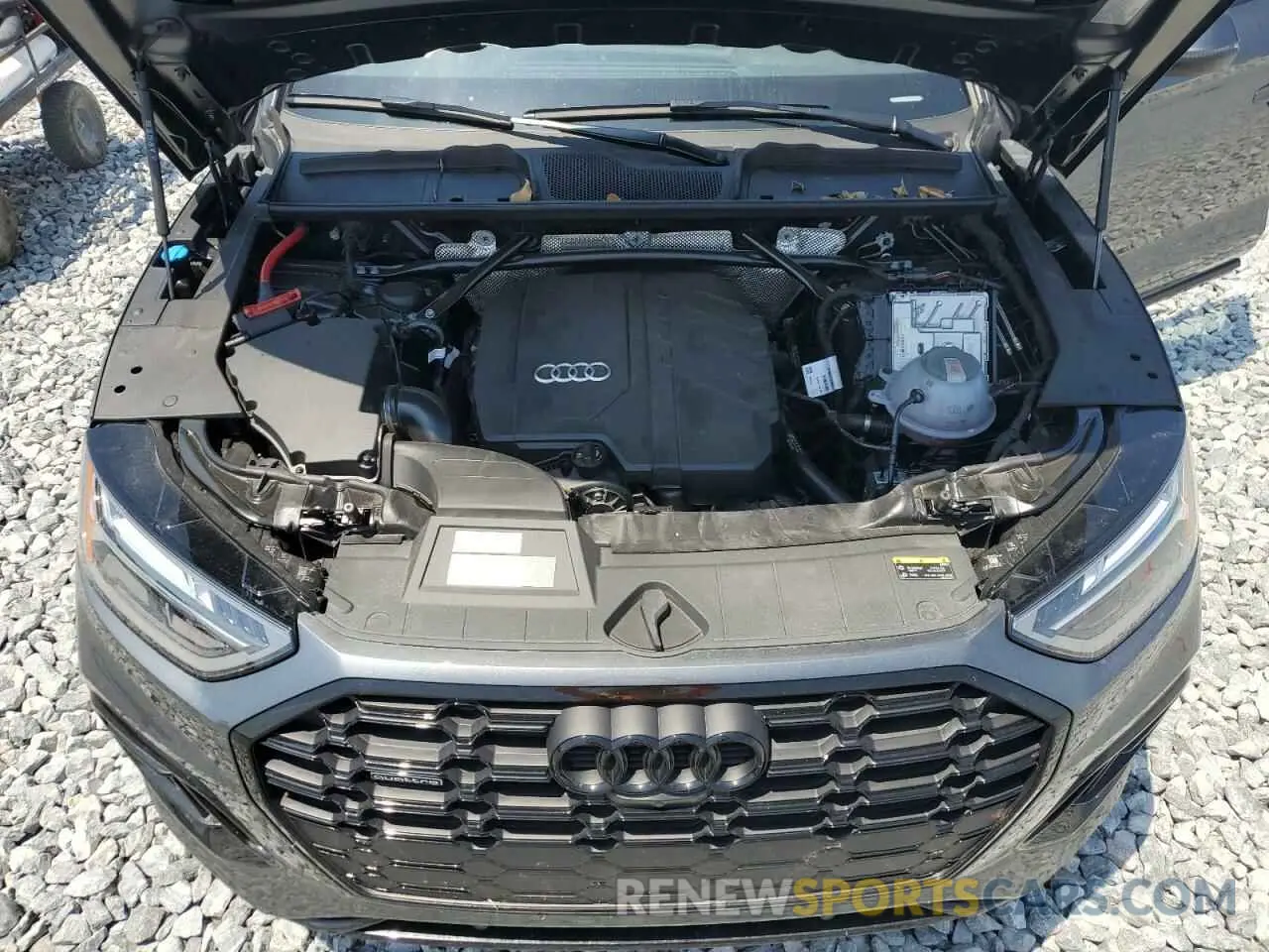 13 fotografías del automóvil dañado WA1EAAFY4R2015571 AUDI Q5 2024