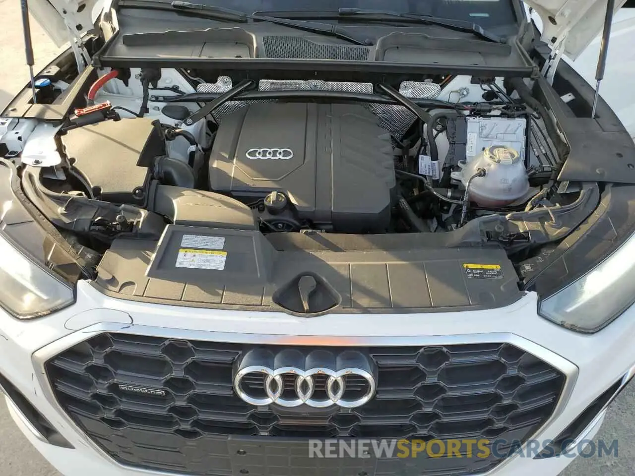 12 fotografías del automóvil dañado WA1EAAFY6R2019329 AUDI Q5 2024