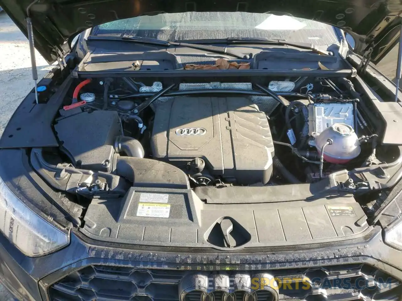 12 fotografías del automóvil dañado WA1EAAFY8R2033880 AUDI Q5 2024