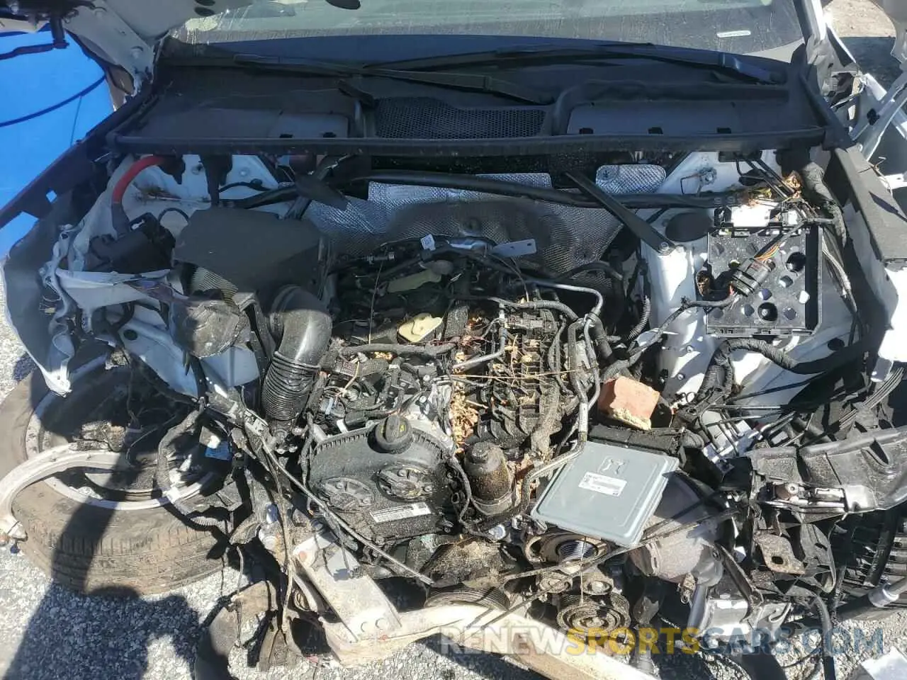 12 fotografías del automóvil dañado WA1EAAFYXR2052091 AUDI Q5 2024