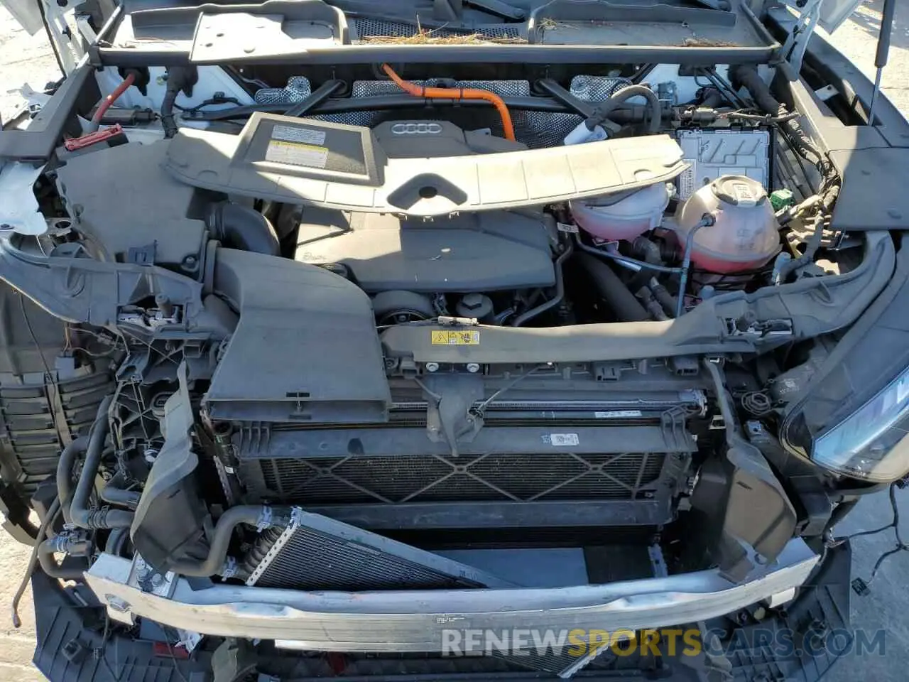 14 fotografías del automóvil dañado WA1G2AFY1R2069111 AUDI Q5 2024