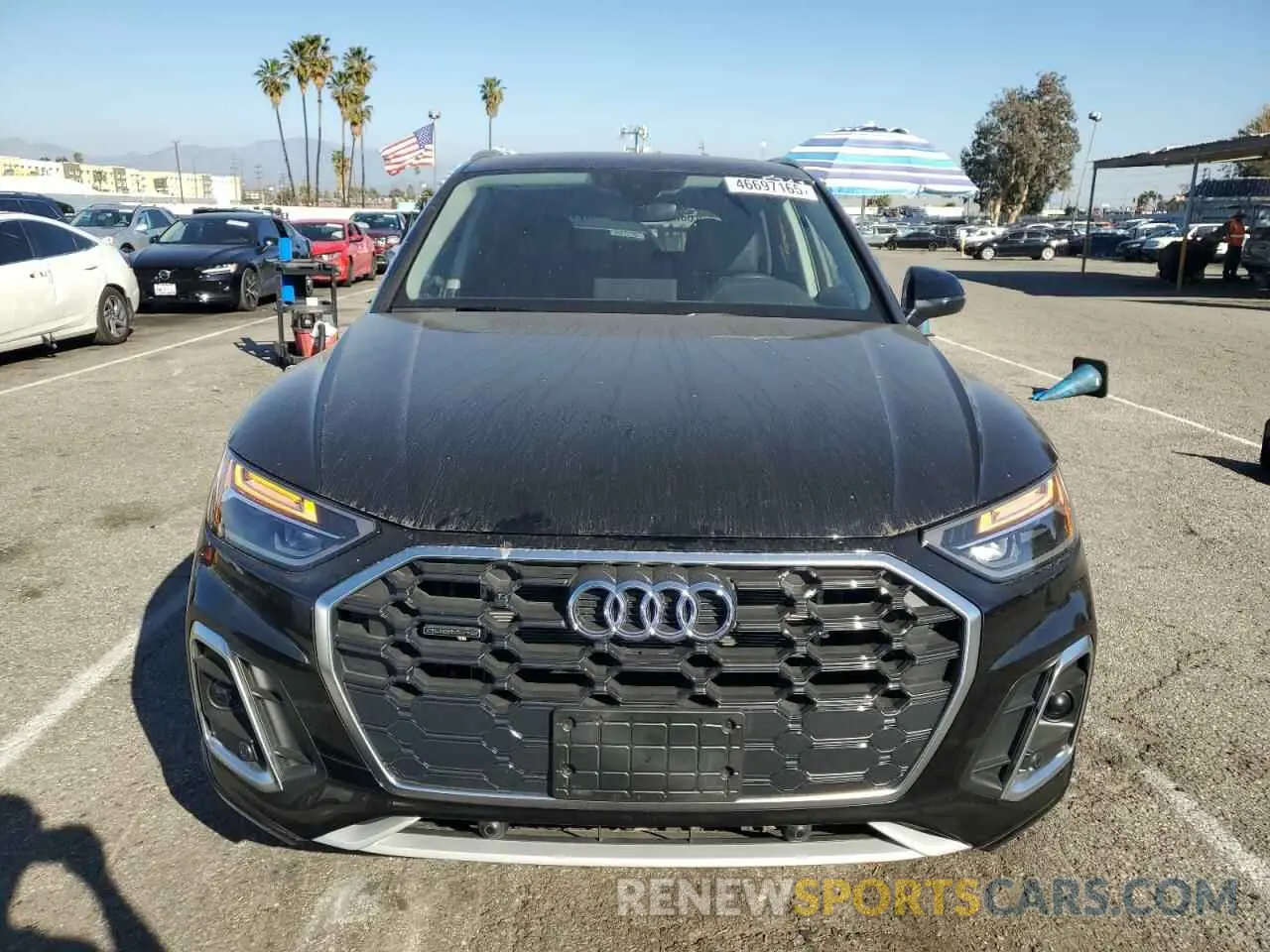 5 fotografías del automóvil dañado WA1G2AFY2R2105341 AUDI Q5 2024