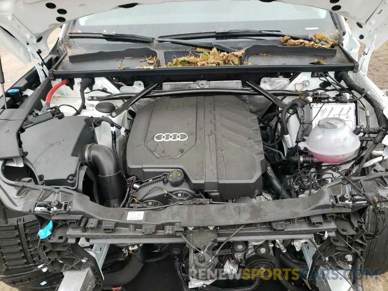 12 fotografías del automóvil dañado WA1AAAFY3R2124179 AUDI Q5 KOMFORT 2024