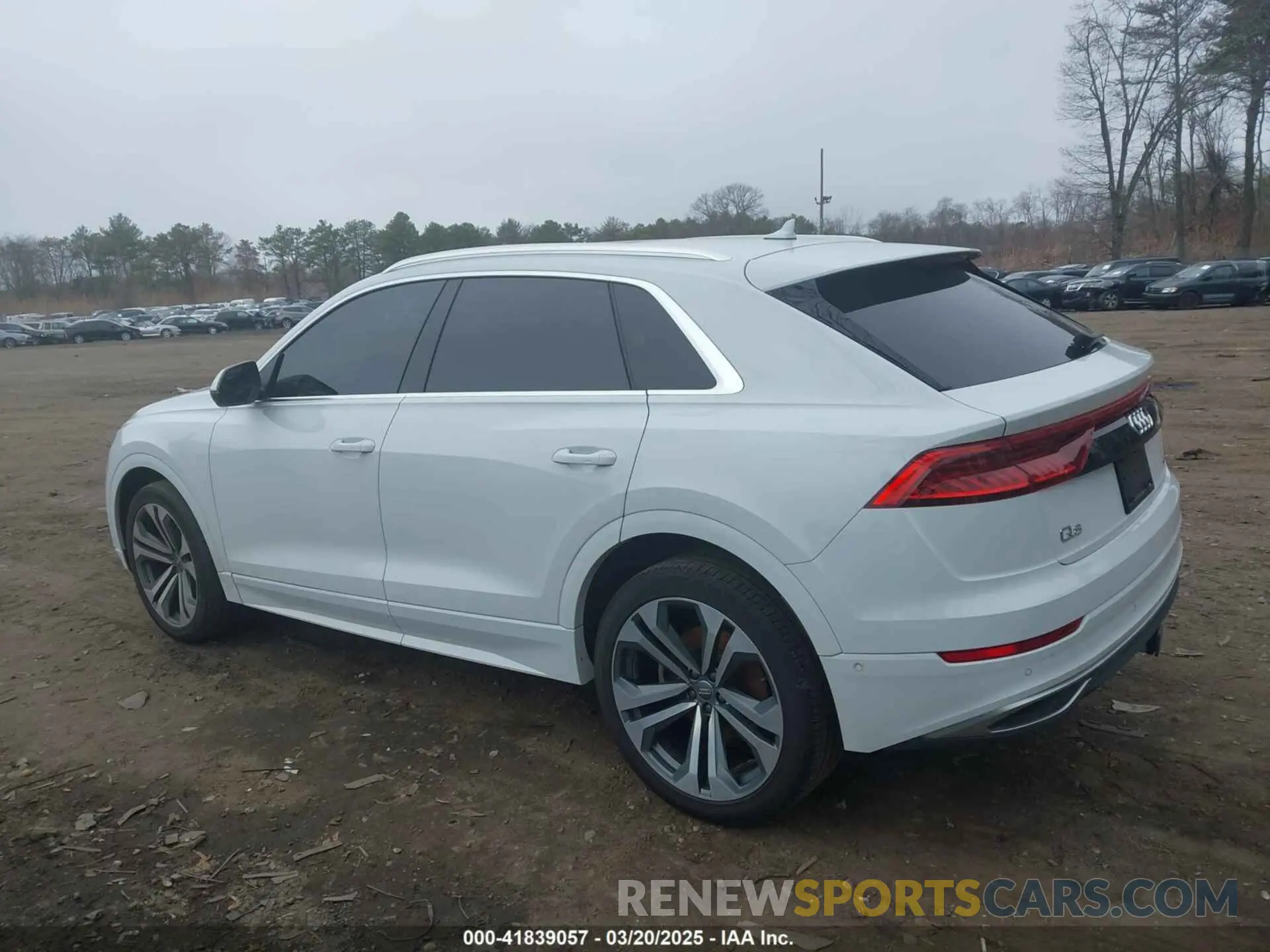 14 fotografías del automóvil dañado WA1CVAF19KD008236 AUDI Q8 2019