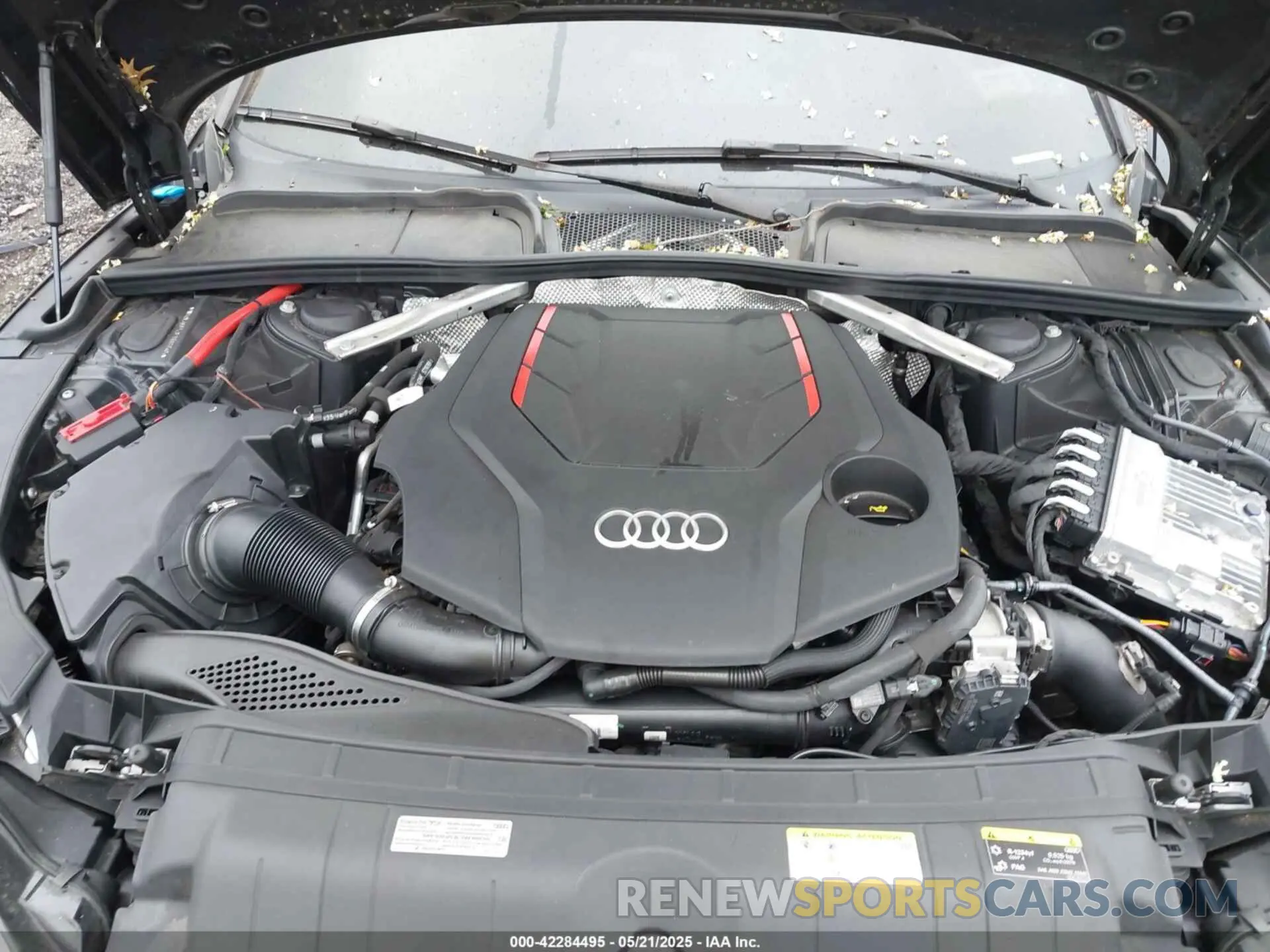 10 fotografías del automóvil dañado WAUC4CF53PA065545 AUDI S5 SPORTBACK 2023