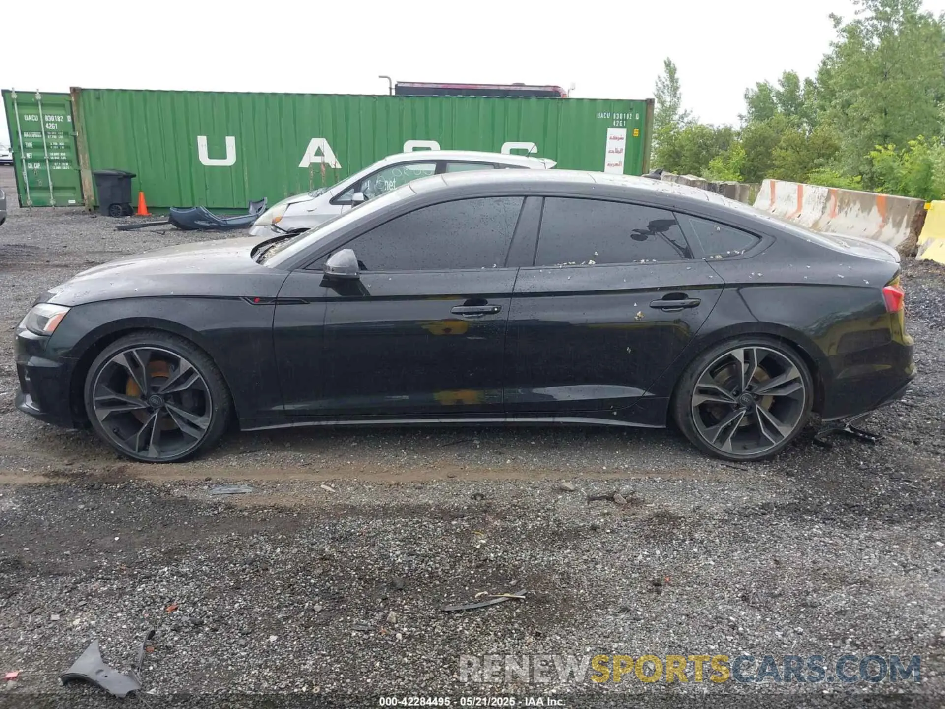 14 fotografías del automóvil dañado WAUC4CF53PA065545 AUDI S5 SPORTBACK 2023