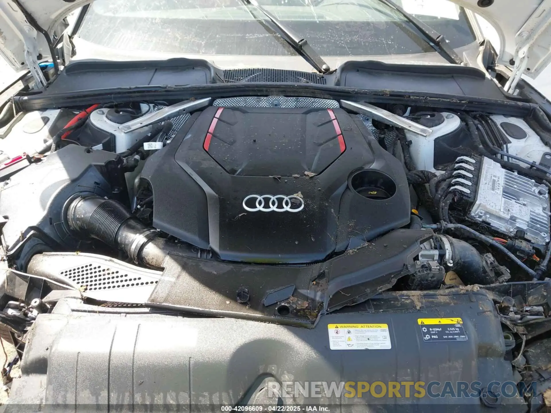 10 fotografías del automóvil dañado WAUC4CF50RA080278 AUDI S5 SPORTBACK 2024