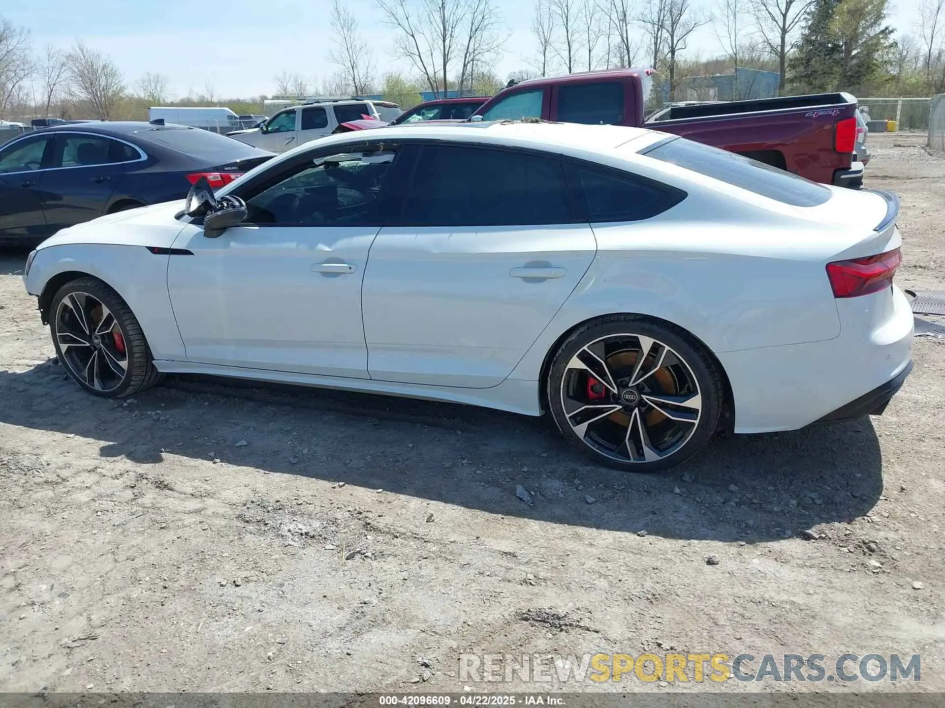 14 fotografías del automóvil dañado WAUC4CF50RA080278 AUDI S5 SPORTBACK 2024