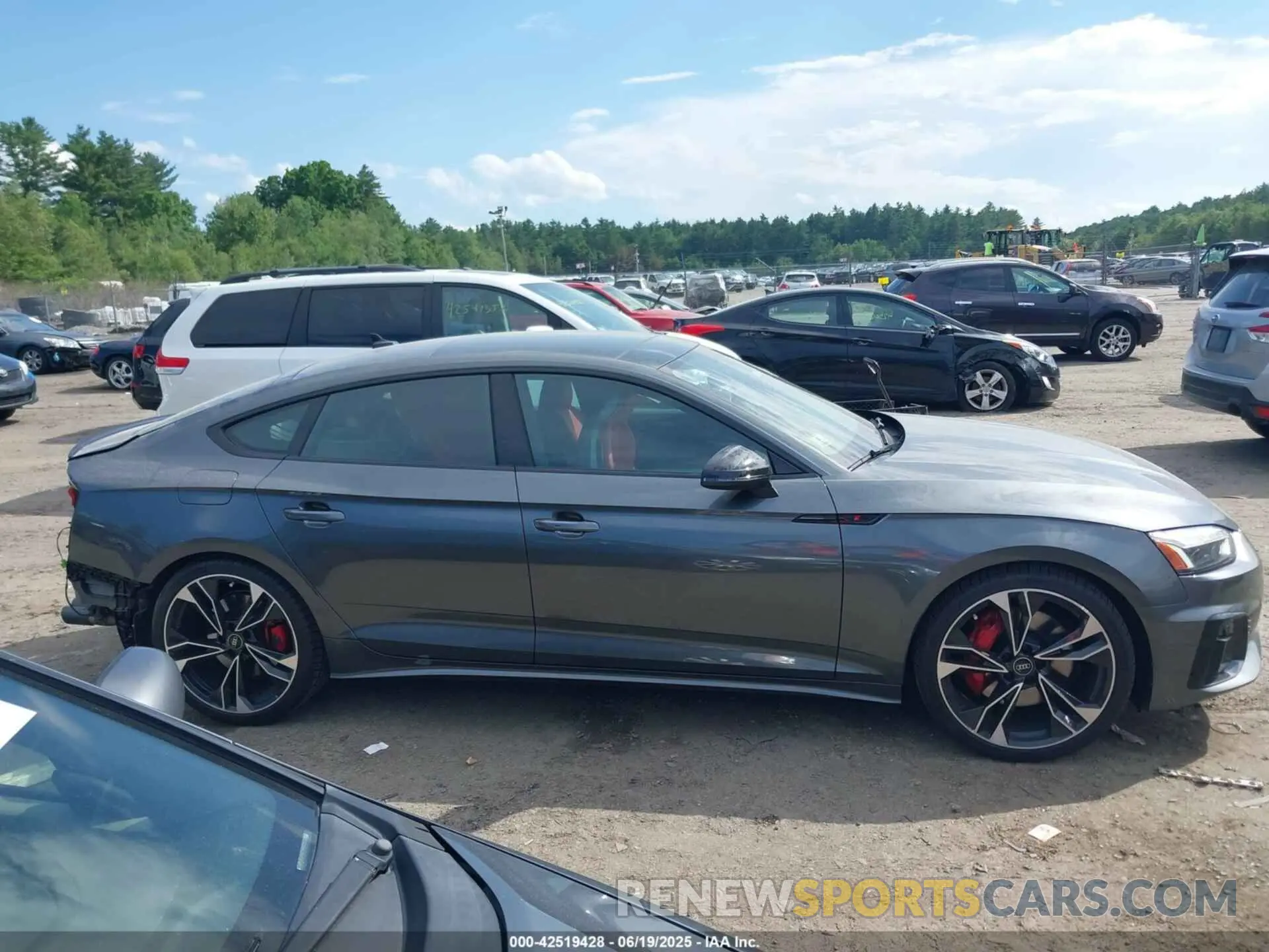 14 fotografías del automóvil dañado WAUC4CF52RA101227 AUDI S5 SPORTBACK 2024