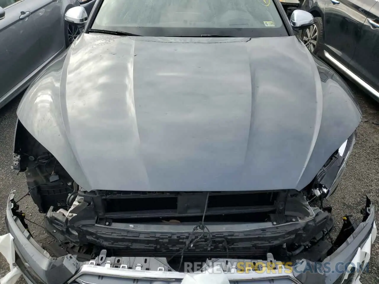 11 fotografías del automóvil dañado WAUR4AF58KA061529 AUDI S5/RS5 2019