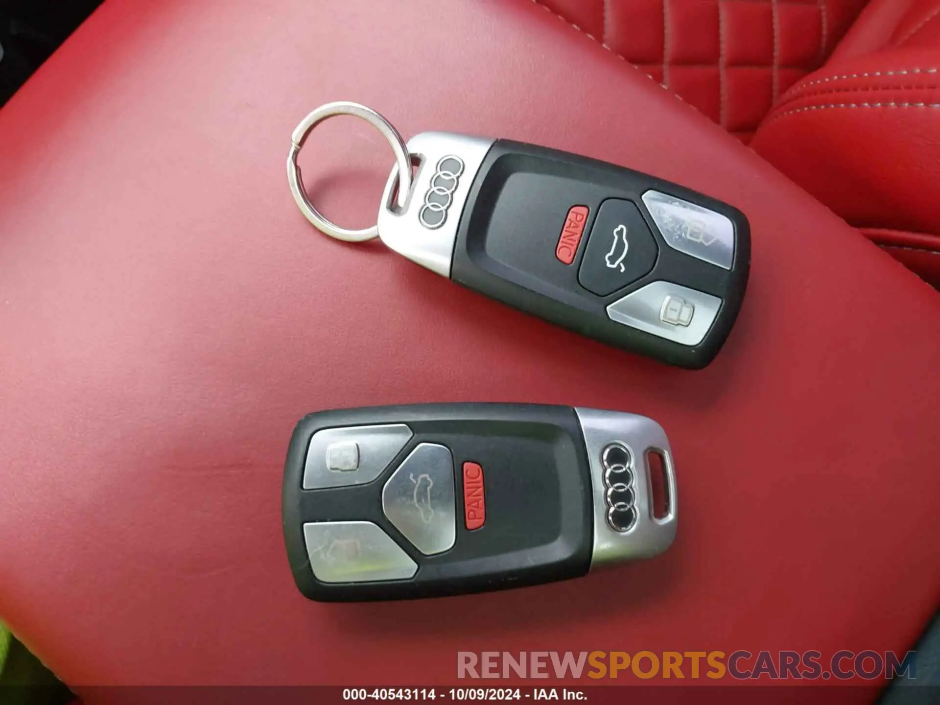 11 fotografías del automóvil dañado WA1C4AFY3K2001777 AUDI SQ5 2019