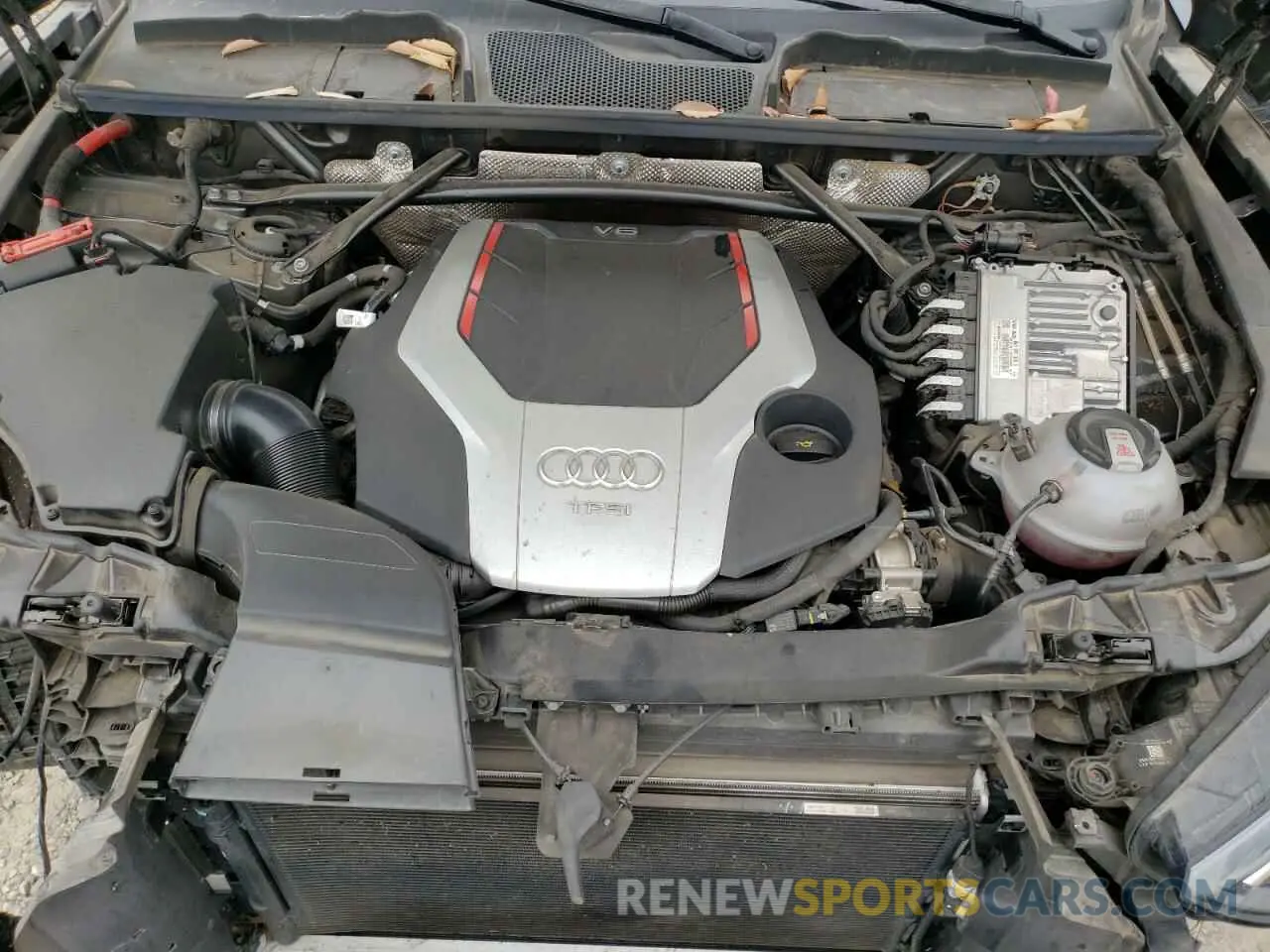12 fotografías del automóvil dañado WA1B4AFYXM2139721 AUDI SQ5 2021