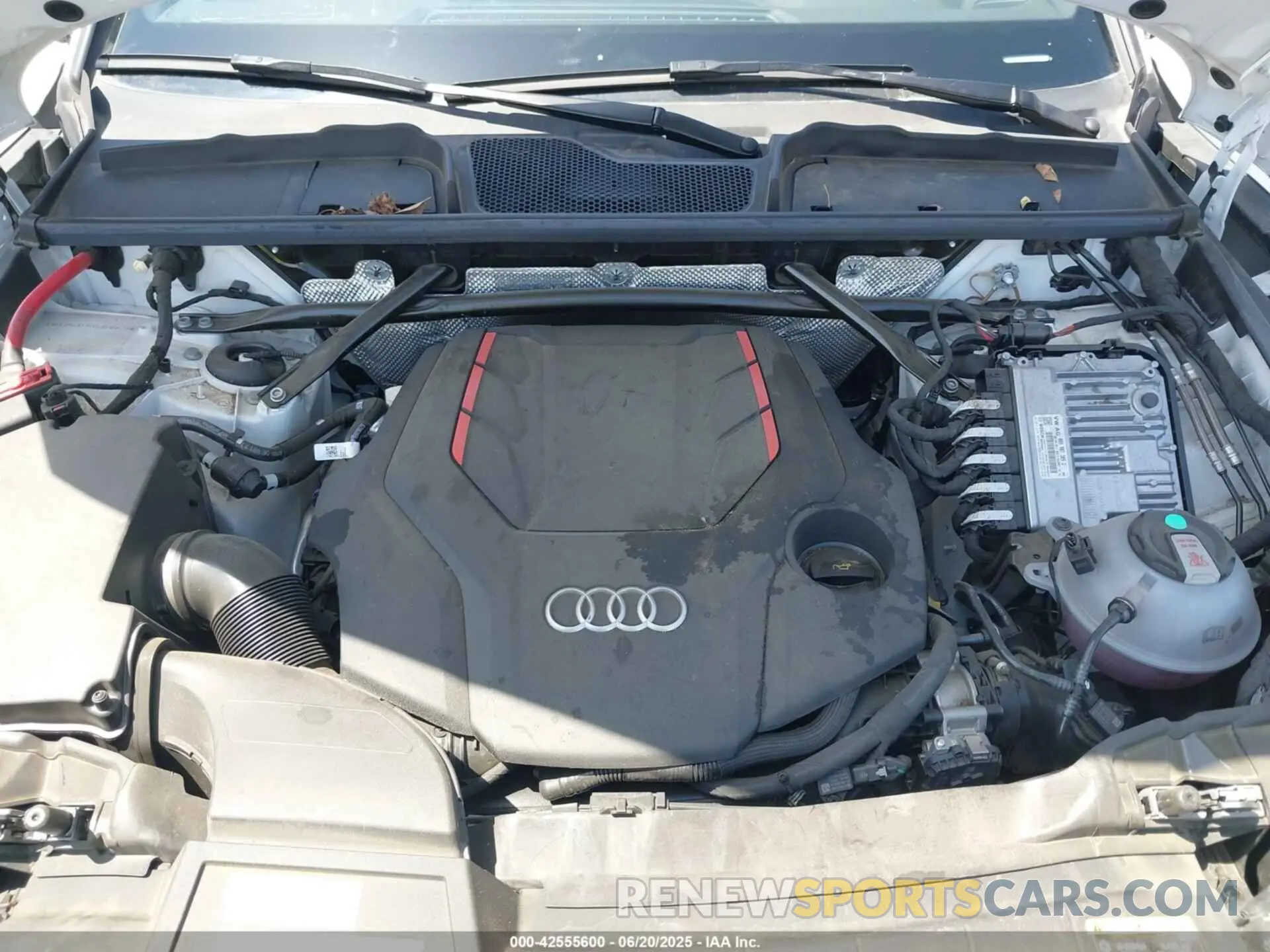 10 fotografías del automóvil dañado WA1B4AFY0R2036623 AUDI SQ5 2024